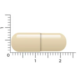 Vitakruid Para Detox 9 Vitakruid Para Detox -Gezondheidszorg Leveringen 1023959 5