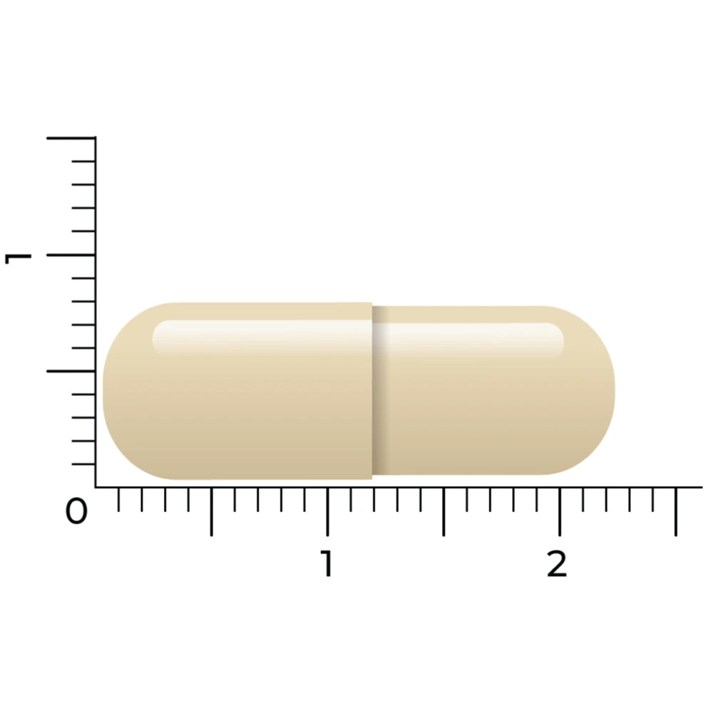 Vitakruid Para Detox 5 Vitakruid Para Detox - Afbeelding 5