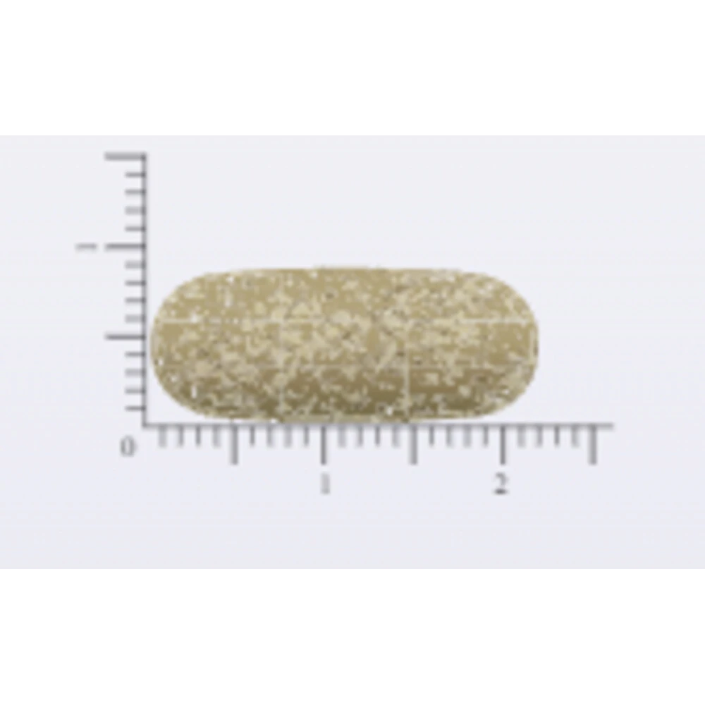 Vitakruid Ester C 1000 Mg 3 Vitakruid Ester C 1000 Mg - Afbeelding 3