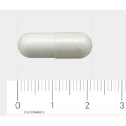AOV 604 L-Carnosine (250 Mg) -Gezondheidszorg Leveringen 1029449 4