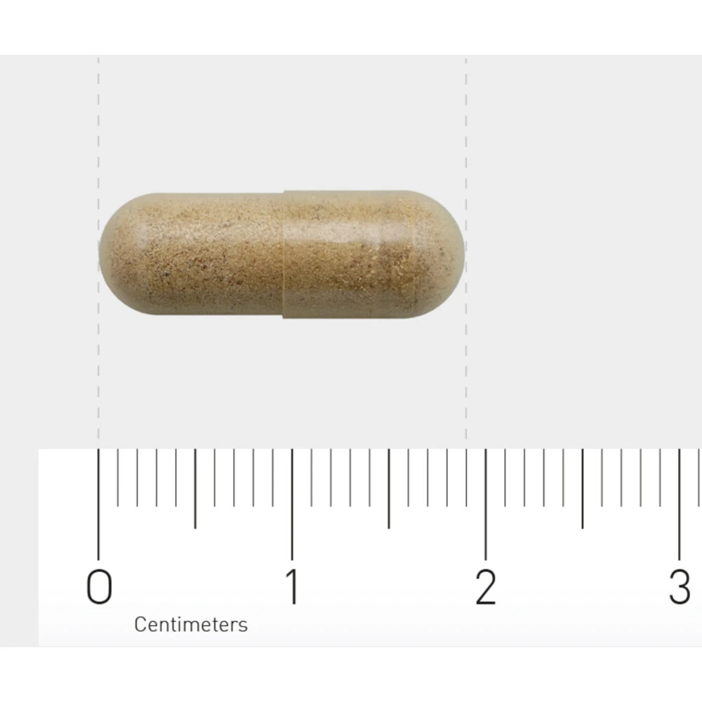 AOV 834 Bacopa (Brahmi) 4 AOV 834 Bacopa (Brahmi) - Afbeelding 4