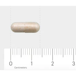 AOV 1201 Probiotica 4 Miljard -Gezondheidszorg Leveringen 1029498 4