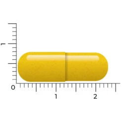 Vitakruid Berberine 500 Rebersa 8 Vitakruid Berberine 500 Rebersa -Gezondheidszorg Leveringen 1029807 4