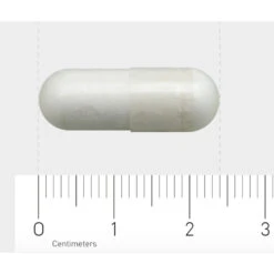 AOV 605 L-Glutamine 500mg 7 AOV 605 L-Glutamine 500mg -Gezondheidszorg Leveringen 1031109 4