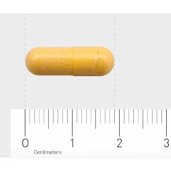 Orthica B2-50 -Gezondheidszorg Leveringen 1033738 4