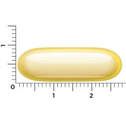 Vitakruid Borage Olie -Gezondheidszorg Leveringen 1035330 4