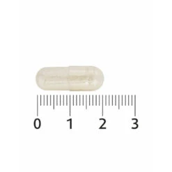 2x Lucovitaal Probiotica Vitamine & Mineralen Complex 7 2x Lucovitaal Probiotica Vitamine & Mineralen Complex -Gezondheidszorg Leveringen 1040862 4