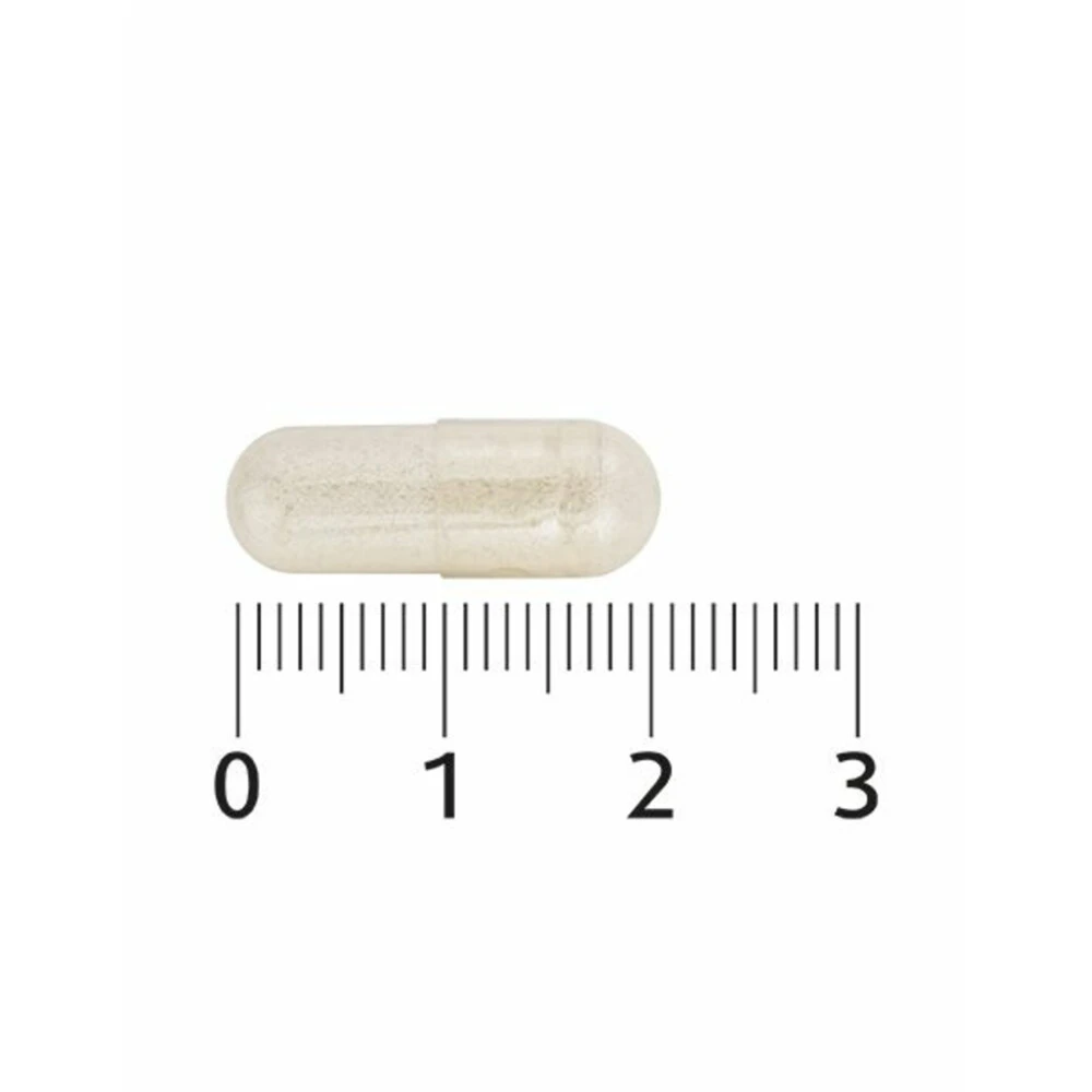 2x Lucovitaal Probiotica Vitamine & Mineralen Complex 4 2x Lucovitaal Probiotica Vitamine & Mineralen Complex - Afbeelding 4