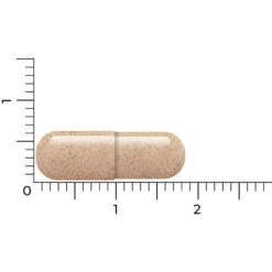 Vitakruid Lactoferrine 150 Mg -Gezondheidszorg Leveringen 1054157 4