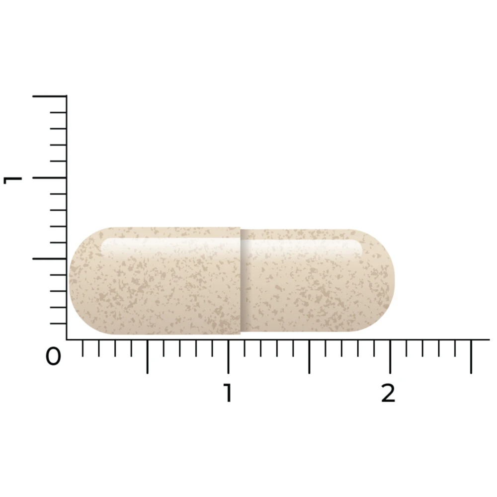 Vitakruid Ashwagandha Ksm 3 Vitakruid Ashwagandha Ksm - Afbeelding 3