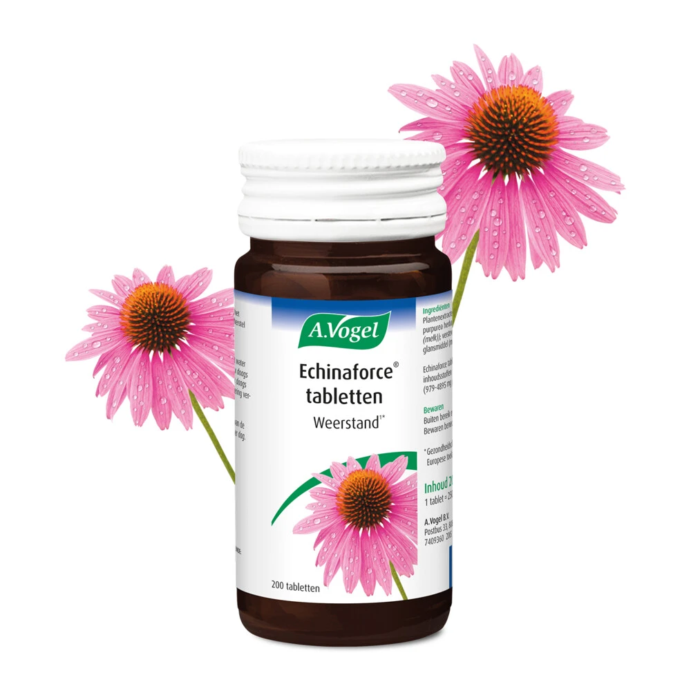 A.Vogel Echinaforce Weerstand 2 A.Vogel Echinaforce Weerstand - Afbeelding 2