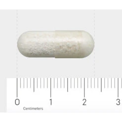 Orthica L-Lysine-500 7 Orthica L-Lysine-500 -Gezondheidszorg Leveringen 706324 4