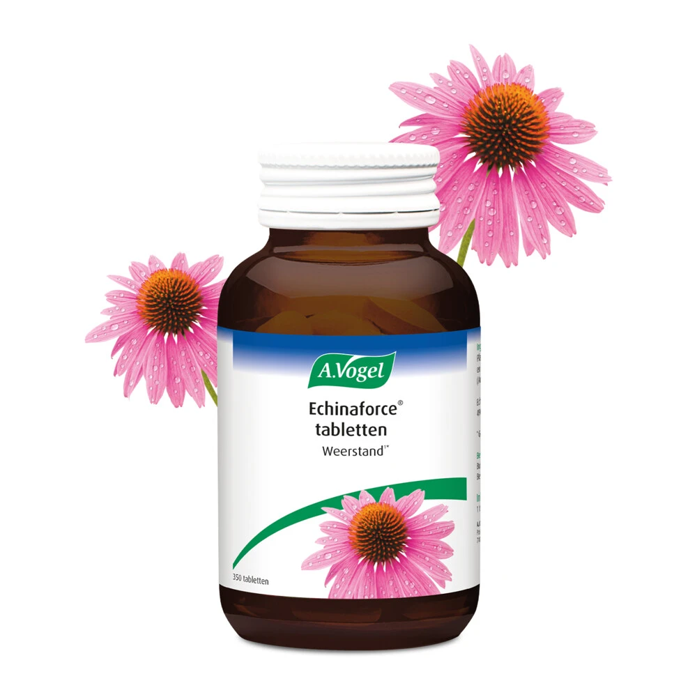 A.Vogel Echinaforce Weerstand 2 A.Vogel Echinaforce Weerstand - Afbeelding 2