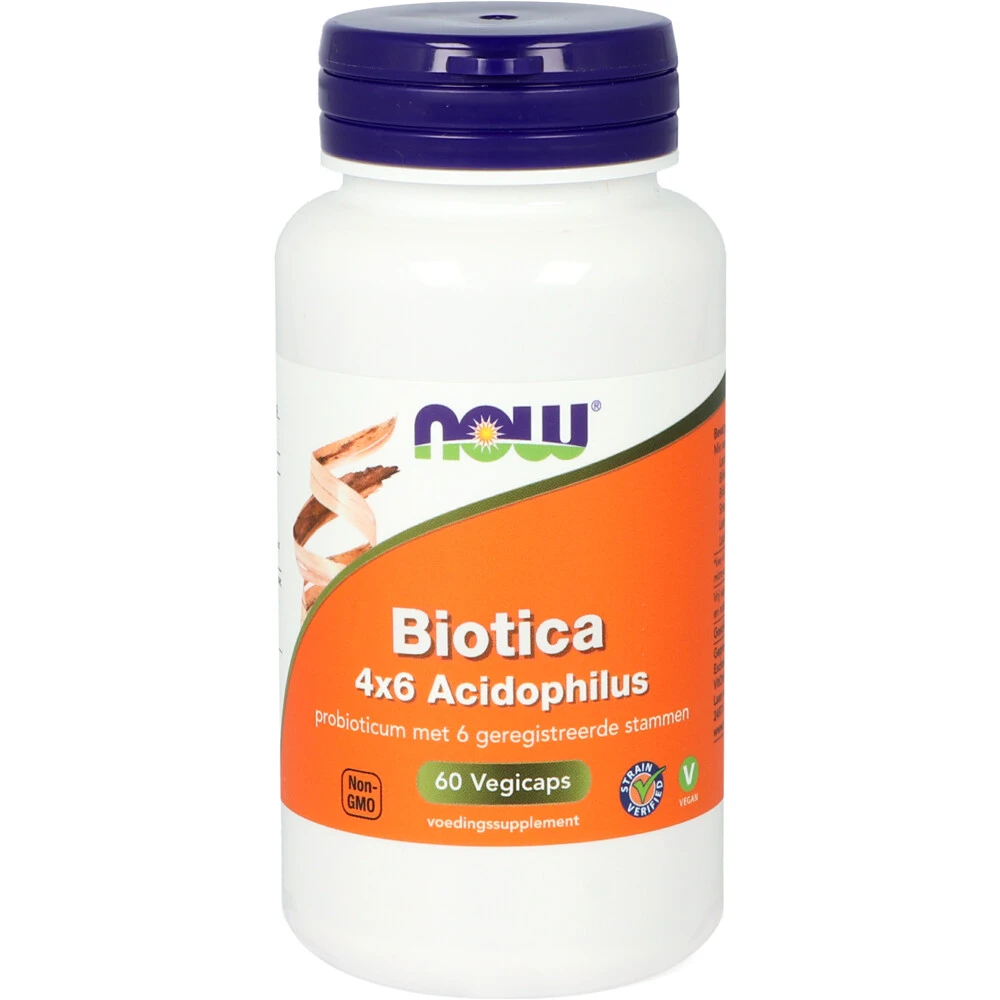 NOW Biotica 4X6 Acidophilus 1 NOW Biotica 4X6 Acidophilus