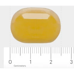 Orthica Dino Omega 3 -Gezondheidszorg Leveringen 996802 4