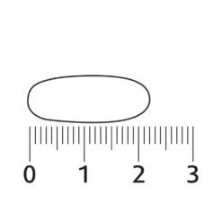 Lucovitaal Geheugen & Concentratie -Gezondheidszorg Leveringen 997138 4